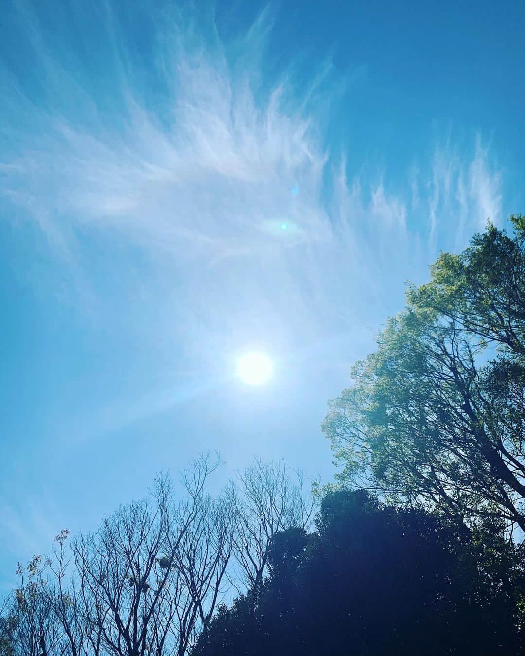 池内博之さんのインスタグラム写真 - (池内博之Instagram)「感謝🌎#feel#earth  #早く終息しますように」4月11日 13時09分 - hiroyuki.ikeuchi