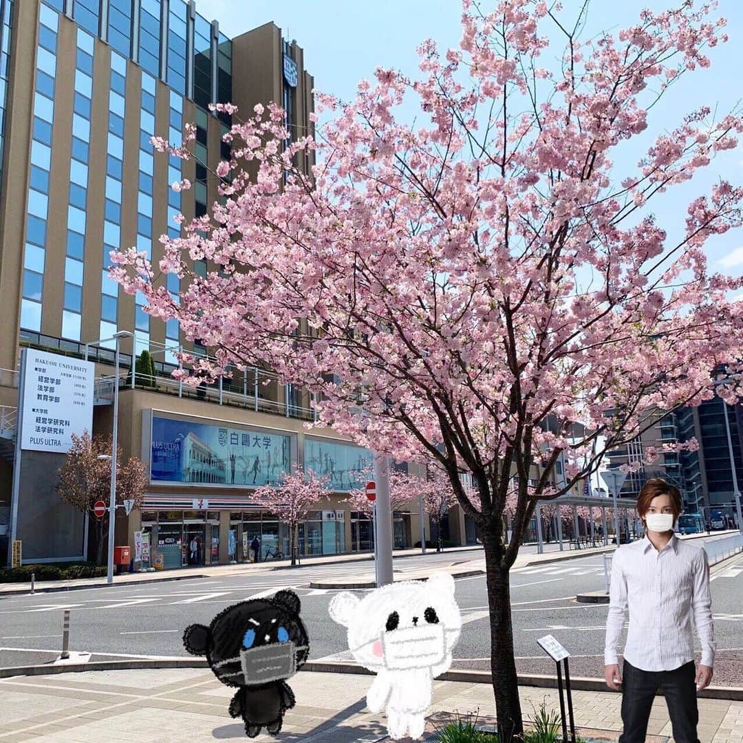北村悠さんのインスタグラム写真 - (北村悠Instagram)「栃木県小山市(地元)  おやまくまに出会った。  #チョットソコマデ」4月11日 13時30分 - kitamura_yu_89
