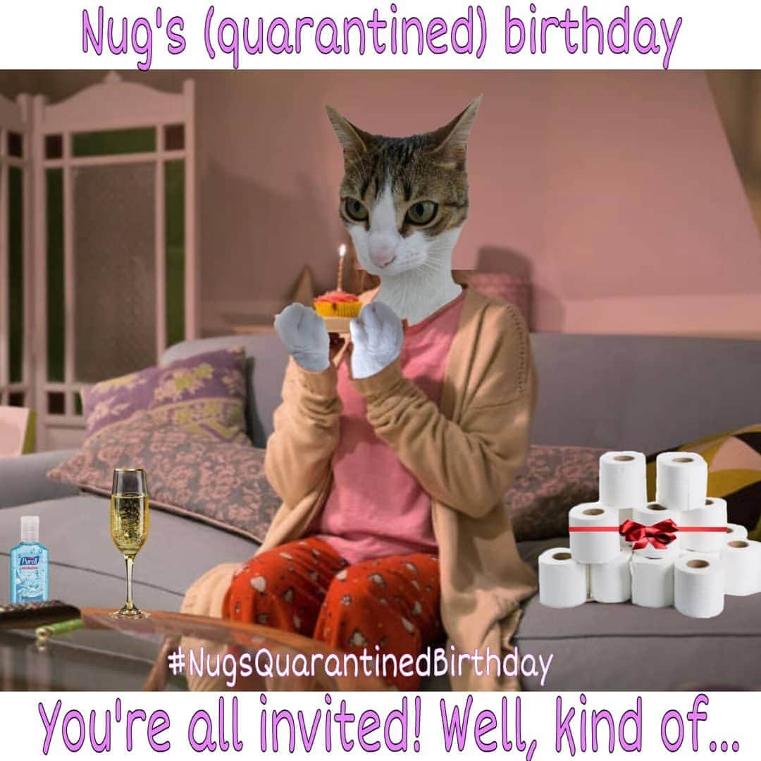 Homer Le Miaou & Nugget La Nugさんのインスタグラム写真 - (Homer Le Miaou & Nugget La NugInstagram)「So sunday is Nugget's 5th birthday. It will also be day 28 of quarantine. Since we are not going out, i won't be able to buy her some birthday bread so i'm gonna try to make her some. Therefore, and as i am a very lame bread maker, she'll probably need some support from you!lol So this week-end, and if you have time, you can show her your love with your best carbs themed picture. She loves every kind so anything goes: all sorts of breads, rusks, crackers, pretzels, crumpets... Hashtag your pic #NuggetsQuarantinedBirthday so she can enjoy them as long as she needs 🎂😻🥖 Merci everyone, we fluff you! 😻 #NotAllFrenchiesCanMakeBread #IAlsoDontEatSnails」4月11日 6時06分 - homer_le_chat