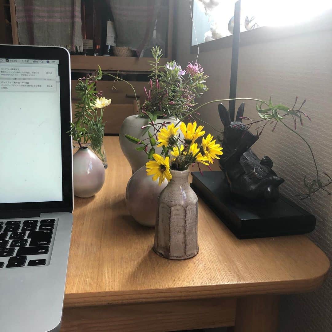 大宮エリーさんのインスタグラム写真 - (大宮エリーInstagram)「朝の風景。家ですが。  在宅ワーク 花たちが🌼寄り添ってくれてます。ベランダの花と スーパーの仏花残り。  #朝の風景 #おうち時間」4月11日 7時23分 - ellie_omiya
