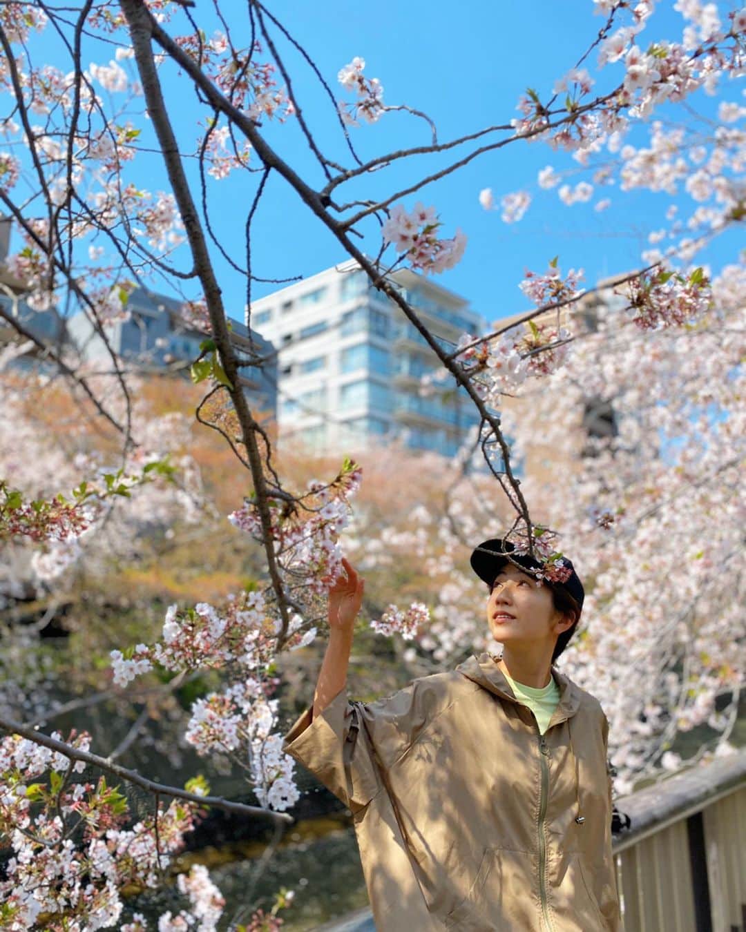 渡辺由布子のインスタグラム