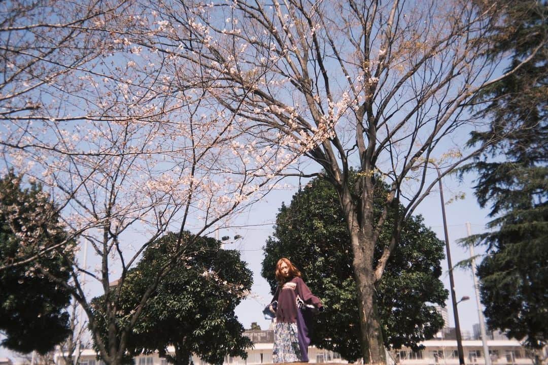 MIOさんのインスタグラム写真 - (MIOInstagram)「. . おはよう . . dress @i.natsuyasumi.i  photo @midorino_yuki」4月11日 9時16分 - gmow_1122