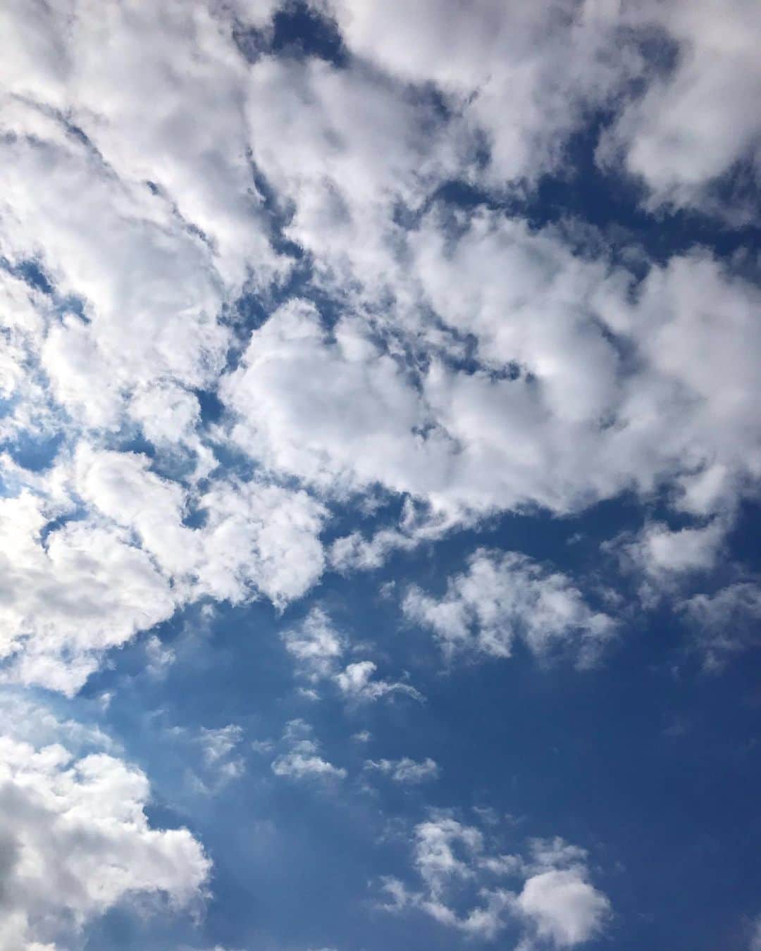 畑中葉子さんのインスタグラム写真 - (畑中葉子Instagram)「早くもないけど、おはよう♡  良い天気だね😄✨ ・ ・ #景色 #風景 #空 #japan #scenery #scene #yhscenery」4月11日 9時43分 - hatanaka_yoko