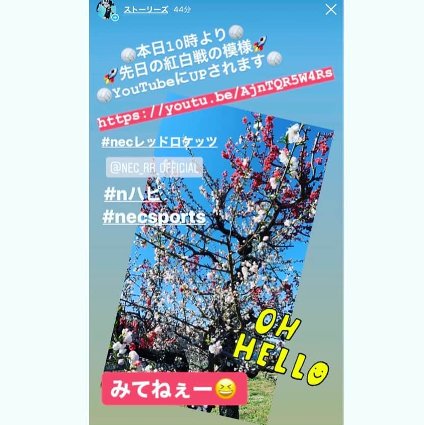 峯村沙紀さんのインスタグラム写真 - (峯村沙紀Instagram)「🚀 ＊ 皆さんおうちでの休日になると思いますが 試合の模様ぜひご覧ください✨ たくさんの方のご協力のおかげで YouTubeにチームとしてのシーズンの集大成を 映像にして残していただくことができました🙏 感謝です。 皆さん毎日大切に健康に過ごしましょう😊 #necレッドロケッツ  #necredrockets  #nハピ #connect #necsports」4月11日 10時02分 - minemuuuno.insta