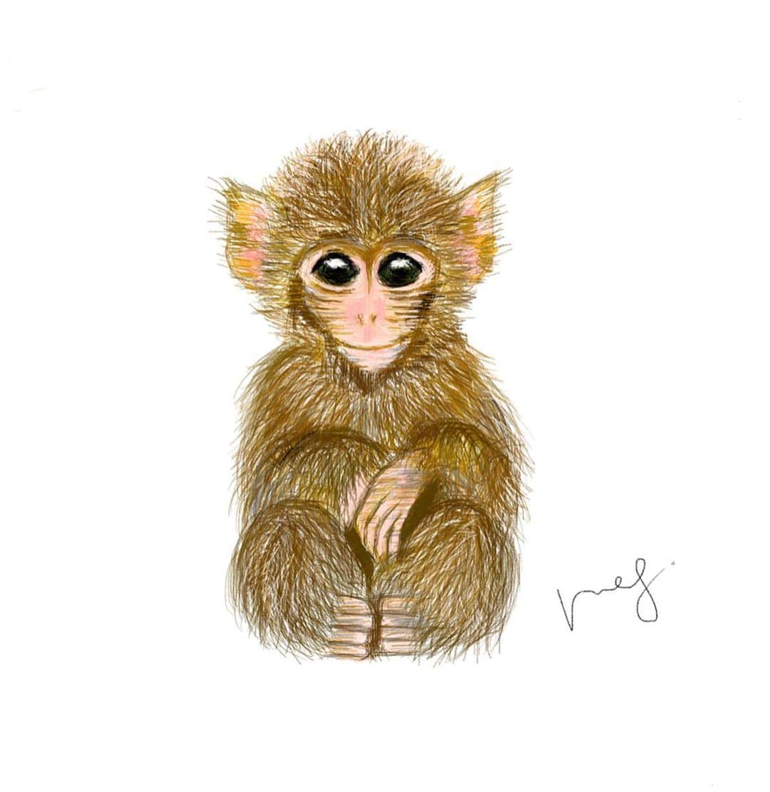 栗原恵さんのインスタグラム写真 - (栗原恵Instagram)「🌰 皆さまが笑顔で 週末を過ごすことができますように…🐒♡ ・ ・ #ipadでお絵描き  #stayhome  #おうちじかん #megart🌰  #猿  #monkey  #art」4月11日 10時42分 - megumi_kurihara_official