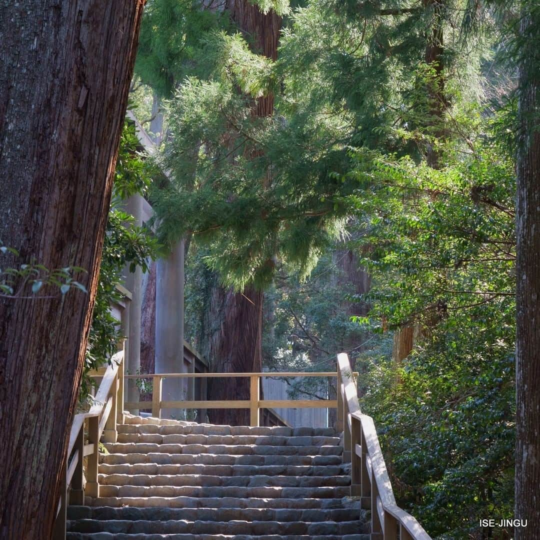 伊勢神宮さんのインスタグラム写真 - (伊勢神宮Instagram)「#伊勢神宮 #神宮 #神社 #心のふるさと #内宮 #皇大神宮 #正宮 #石階 #朝 #ISEJINGU #JINGU #SOUL_of_JAPAN #Japan #Jinja #Shinto #Naiku #Kotaijingu #morning」4月11日 11時00分 - isejingu.official