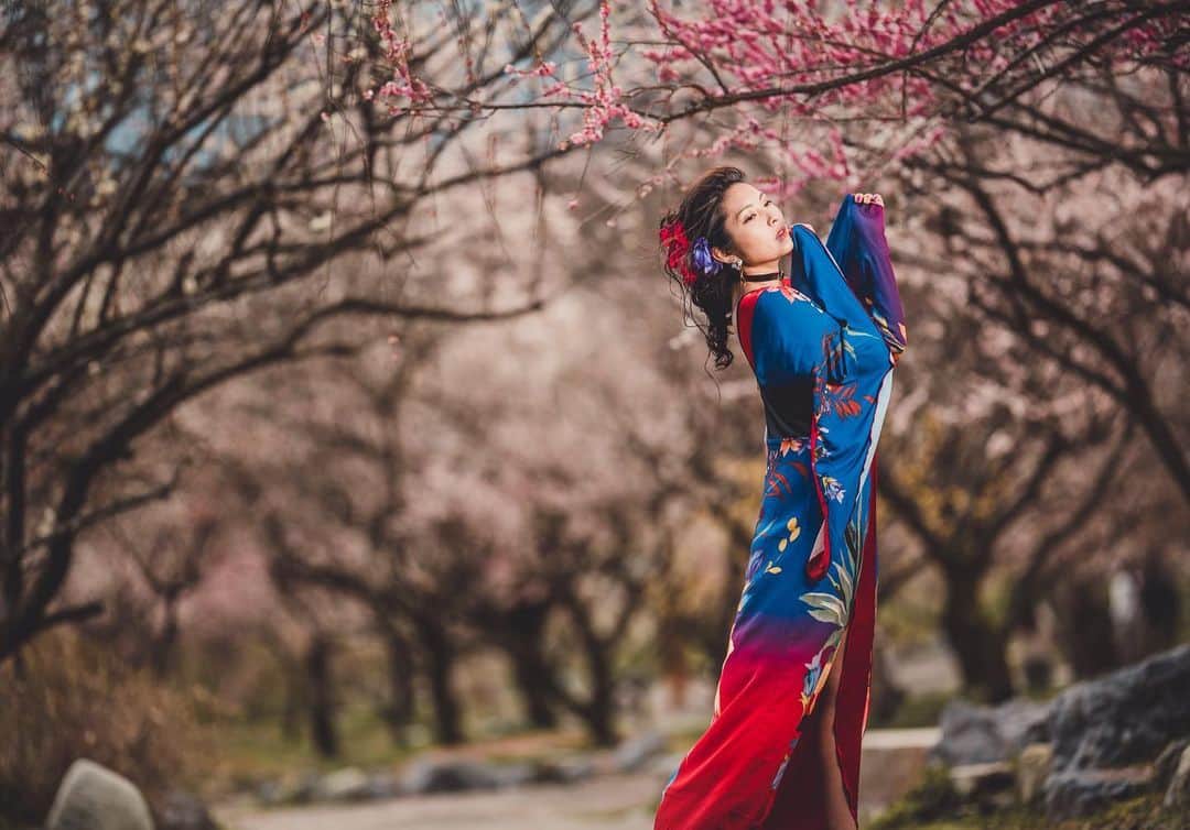 イルコ光の魔術師のインスタグラム：「昨日20時半に寝て、今日朝4時に起きたw❗️それで昨日アップできなかったけど、今日は投稿続けまーす❗️なんか最近コロナで、変な時間帯で活動するようになったな〜　ほぼ毎日4時起床やなー皆さんどんな感じかな❗️右からストロボ1灯でライティング❗️. . モデル: @mi_portrait . . 新しい @ilkomobile アカウントにiPhoneで撮ってるポートレートもアップしますよ！いい光があればカメラ&レンズはなんでもいいと思います . . #ストロビスト #ポートレート #花見 #135mm #Sigma #instagramjapan #青森 #東京カメラ部 #ig_today #igersjp #tokyocameraclub #instalike #instagramhub #team_jp_ #vscogoodshot #strobist #strobistlighting #portrait_perfection #iphonephotography #イルコ #光の魔術師 #桜 #instagramhub #カメラ女子 #iphoneography  #lovers_nippon #ファインダー越しの私の世界 #写真好きな人と繋がりたい #portrait」