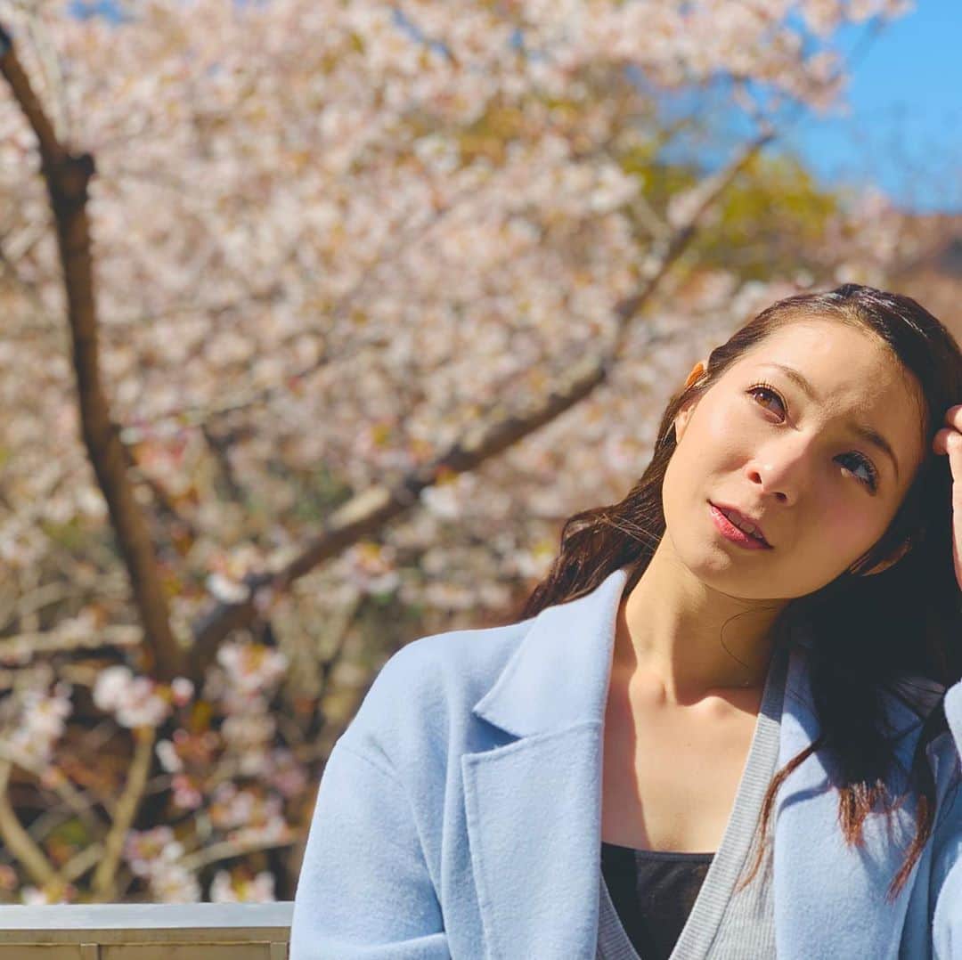 住田紗里さんのインスタグラム写真 - (住田紗里Instagram)「さくら待ち受けが配信されました🌸  今年の東京では、桜の開花が発表されてから、ずいぶんと長持ちしていた印象があります。 こんな世の中で、直接桜を見に行くことは難しいですが、画像で見て少しでも明るい気持ちになっていただければと。  こちらになります！  https://www.tv-asahi.co.jp/sphone/app/announcer/sakura/2020/  撮影時のオフショットです。 実はこの水色のコート、この日初めて着ました。 一刻も早く状況が改善し、日常が戻ってきますように。  #さくら待ち受け配信中 #さくら待ち受け #さくら #桜 #cherryblossom #春 #spring #六本木 の桜 #テレビ朝日 今は#葉桜 #コート #水色 #lightblue #blue #壁紙 #壁紙コンテンツ #オフショット #🌸 #テレビ朝日アナウンサー #女性アナウンサー #アナウンサー #テレビ朝日アナウンサー #住田紗里」4月11日 12時16分 - sarisumita_ex