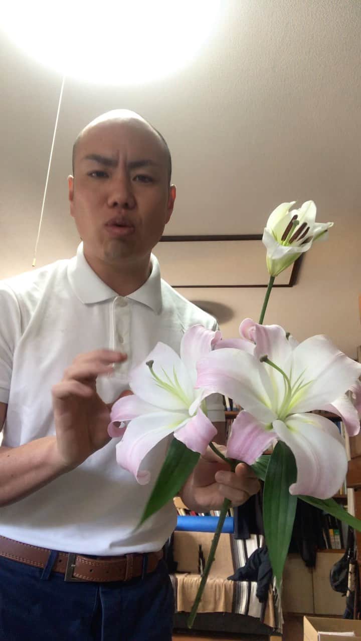 加瀬部駿介（フレンチぶる）のインスタグラム：「お花紹介動画第一弾です！ 不定期に上げていきたいと思います！ 温かい目で見守ってください！  #花  #花のある暮らし  #はなすたぐらむ  #花言葉  #フレンチぶる」