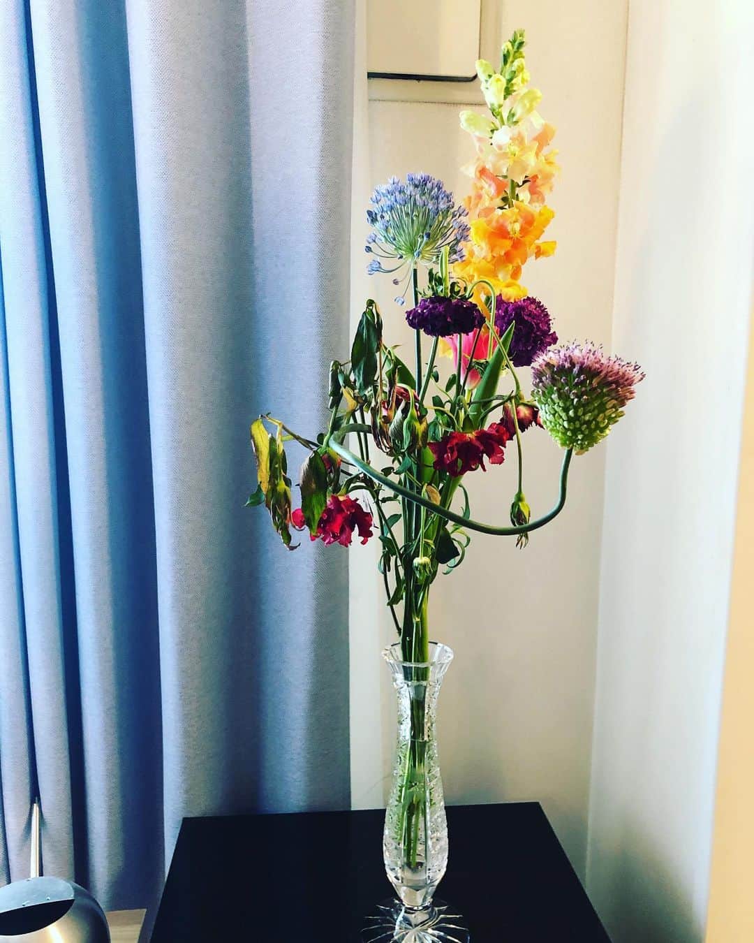 田中えみのインスタグラム