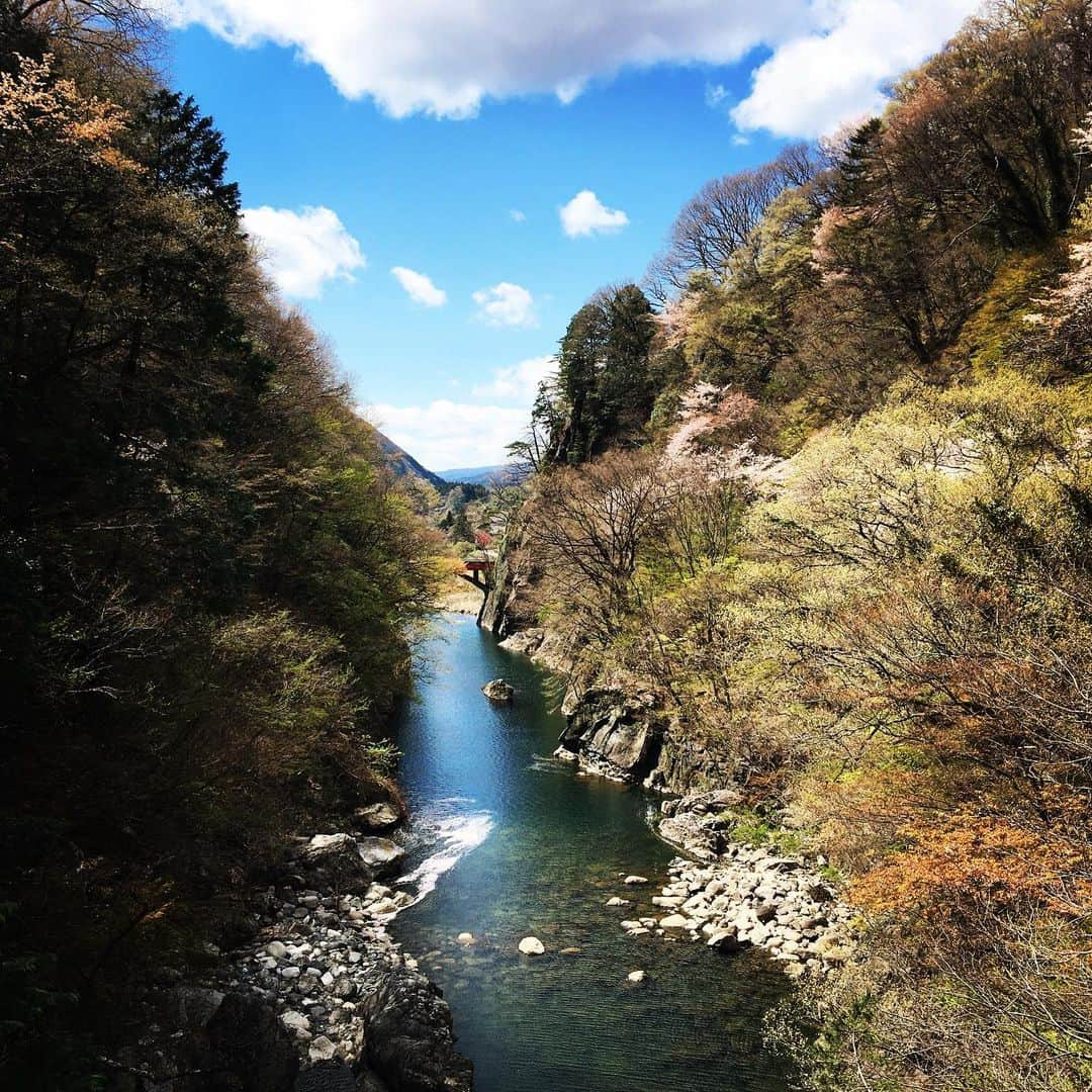 富所哲平さんのインスタグラム写真 - (富所哲平Instagram)「#いろどりみどり市 #群馬 #みどり市 #エア花見 #エア旅行 #stayhome  地元に、群馬に、何もないよって言う人は、知らないだけ。 知れば変わる。  知れば変わる。  #なにも郷土愛だけの話じゃない #大事なのは #抽象化 #メモの魔力 #前田祐二 #絶景 #インスタ映え」4月11日 12時14分 - tomitetsu823