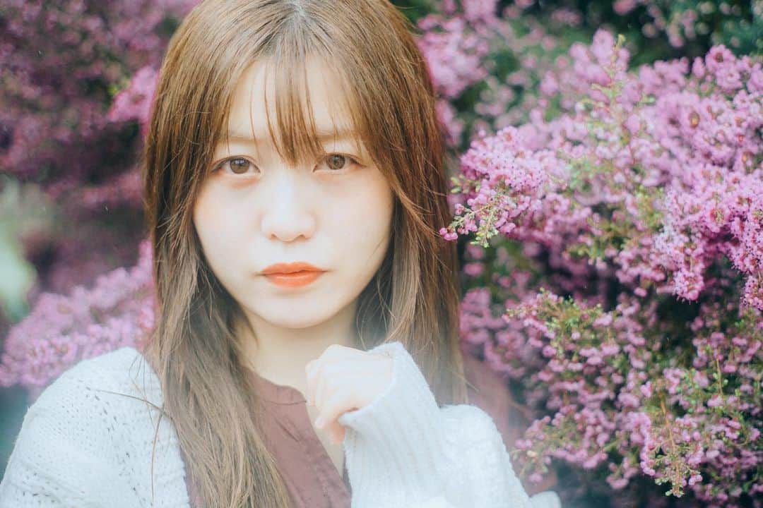 弘松菜摘のインスタグラム：「﻿ 明日には忘れているから﻿ きっと君のことなんて、﻿ ﻿ ﻿ ﻿ ﻿ #儚くて何処か愛おしい様な  #スクリーンに恋して」