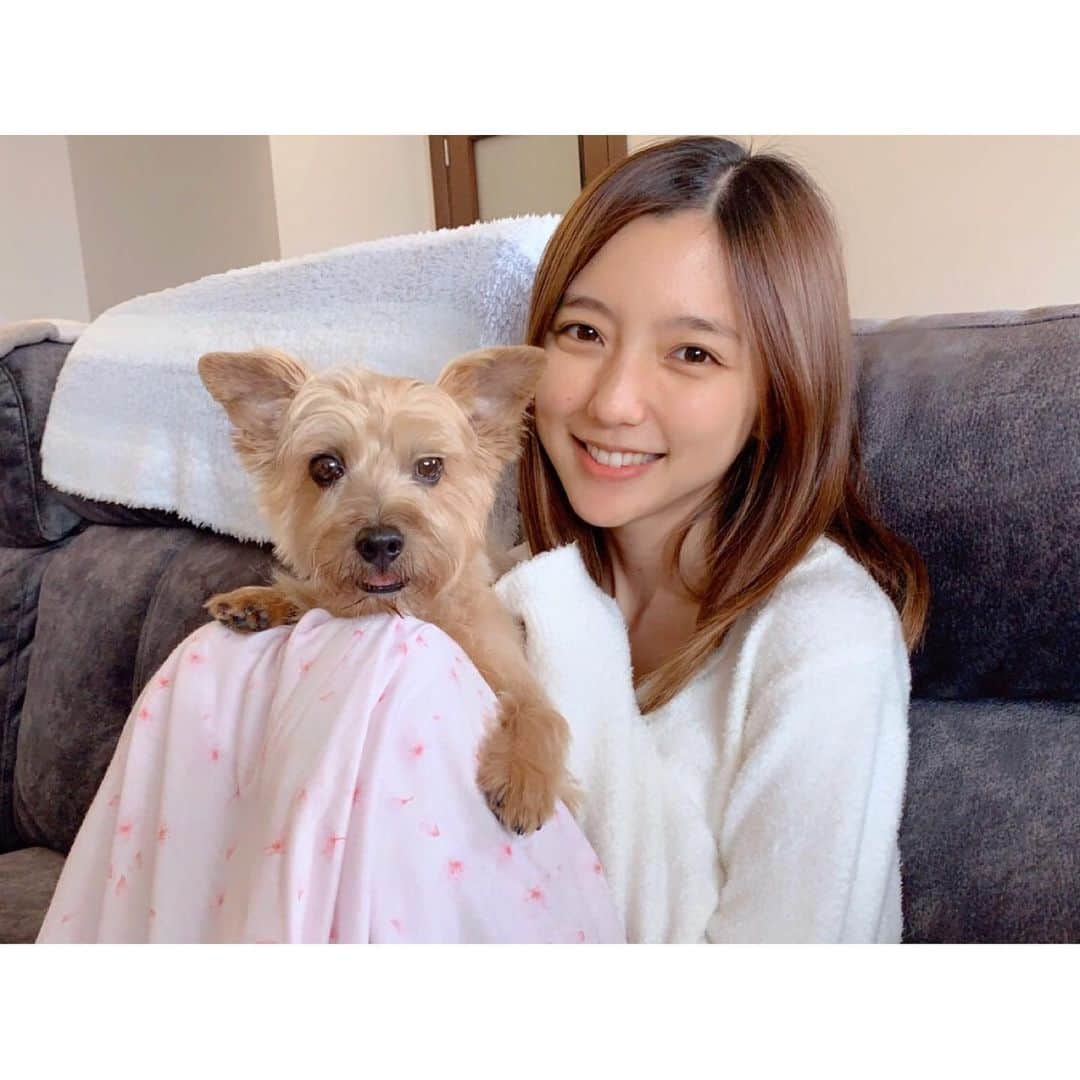 真野恵里菜さんのインスタグラム写真 - (真野恵里菜Instagram)「29歳になりました！ そしてちょっと前に 愛犬は5歳になりました！ なので愛犬と一緒の写真🐶 . . 今年は「おうち時間」な誕生日ですが 今日はなにもしなくていいからね！ と夫が言ってくれて 朝ご飯にお昼ご飯も作ってくれました☺️ なんと夕飯も作ってくれるそうです😳✨ . . ストーリーの返信やDMなどで たくさんのメッセージにイラストや動画など 本当にありがとうございます！！ こんな状況だからこそ みんなに元気を届けたい！ 最近はそんな思いでSNSをやっているけど 今日はたくさんたくさん皆さんに元気をもらいました😭✨ これからもよろしくお願いします😊 #ありがとう　 #誕生日　 #おうち時間」4月11日 21時53分 - erinamano_official