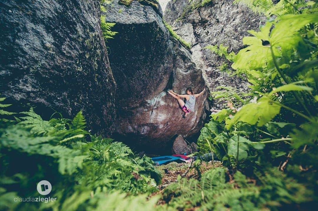 カロリーネ・ジンフーバーのインスタグラム：「a @claudia.ziegler shot from a few years ago in beautiful #felbertal // hoping for a soon reunion with the only missing line on this bloc #hisroyalhighness  @sosolid_official @belmezattitude @frictionlabs @scarpa_at @natureclimbing . . . #climbing #klettern #bouldern #bouldering #austria #summer #chalkupless #natureclimbing #colourupyourlife #belmezattitude #frictionlabs #scarpaclimb #noplacetoofar」