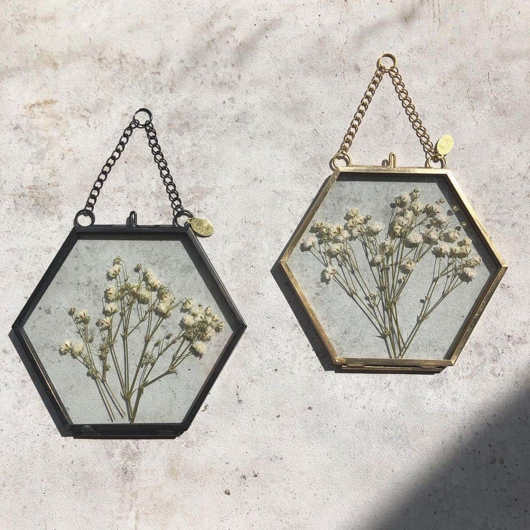 waco⭐️CHACOのインスタグラム：「Square flower 𓆸Gypso 𓆸  CHACOの新作スクエアフラワーは吊り下げて使うことのできるインテリア。 これひとつでお部屋の一角を素敵に演出してくれます。 第一弾はCHACOでは不動の人気のかすみ草を閉じ込めました。 フレームの色はゴールドとブラックの2色。 来週火曜にONLINE SHOPに登場します。」