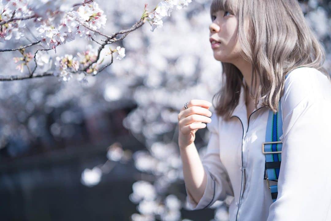 Ryokoさんのインスタグラム写真 - (RyokoInstagram)「桜が恋しいね、#stayhome」4月11日 14時31分 - ryoryo_music
