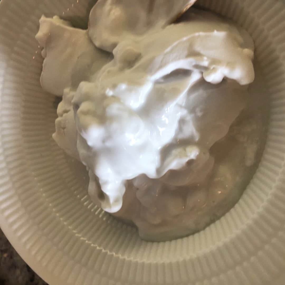 市川海老蔵 （11代目）さんのインスタグラム写真 - (市川海老蔵 （11代目）Instagram)「Homemade yogurt with more various homemade items mixed in, and voila.  Stirred in are homemade enzyme and homemade garlic-honey🍯  A miracle that garlic🧄 & honey🍯 get along pretty well. * 自家製ヨーグルトに 色々自家製達さらに混ぜて どぞ 自家製酵素と自家製ニンニク蜂蜜入れてます🍯 ニンニク🧄蜂蜜🍯が 結構合うという奇跡。  #市川海老蔵 #海老蔵 #成田屋 #歌舞伎 #ABKAI #ABMORI #ebizoichikawa #ebizo #kabuki #thunderparty #theater #theaterarts #actor #japan #classic」4月11日 14時34分 - ebizoichikawa.ebizoichikawa