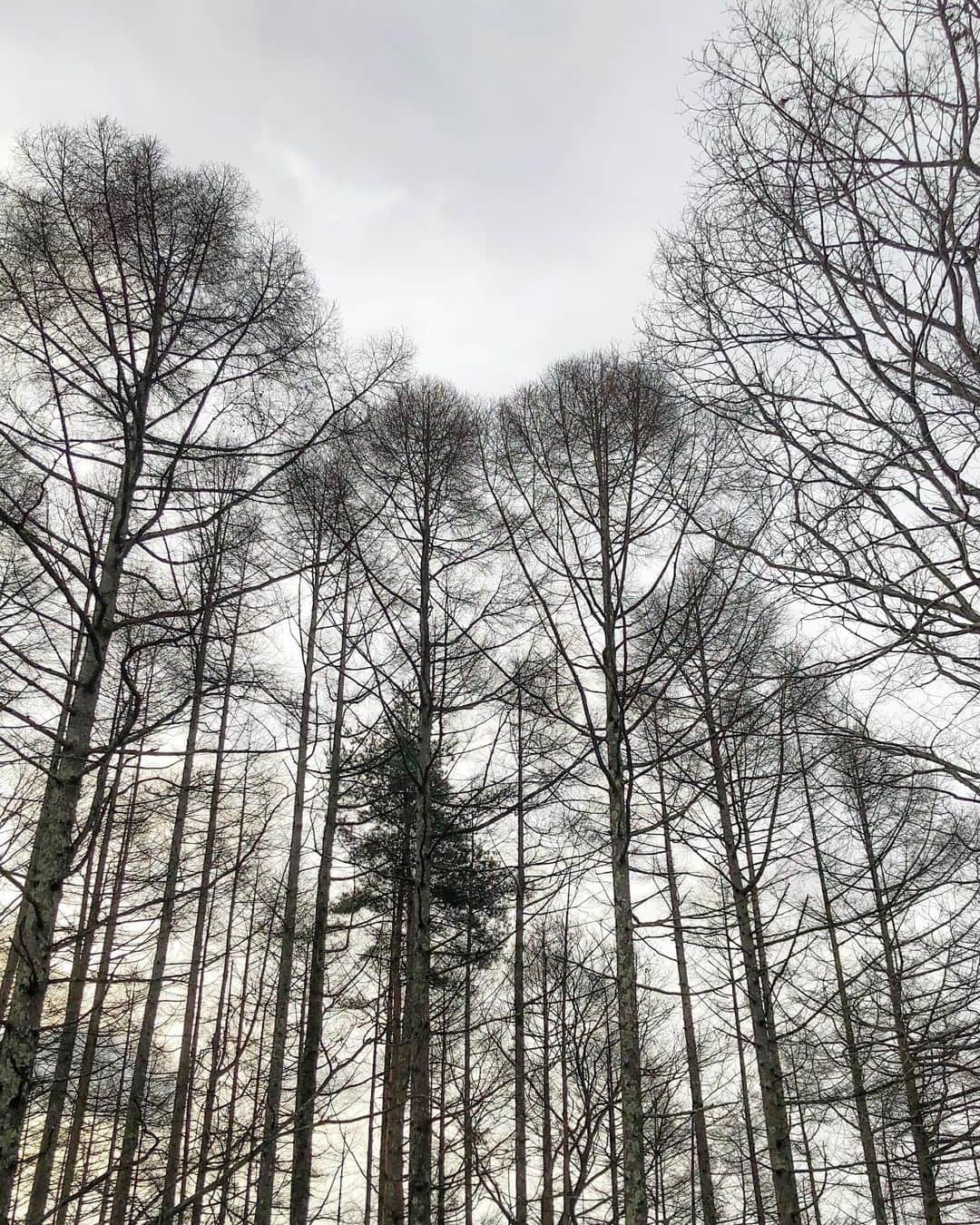 紺谷みえこのインスタグラム：「YouTubeカートチャンネル 連続ドラマ「空と山と緑」の第三話 「お茶漬けとみかん」に出演しました♡ 子供も一緒に出ています。  最近(こんなに自炊したことある？)←謝 というくらい毎日ご飯作っています。 手作りの大切さ、食育について考えさせてくれた大大大好きな作品です。 是非おうちでご覧になってください。  https://youtu.be/SEiOfTCrOWE  #おうち時間　#ステイホーム #八ヶ岳　#自然　#食育　#ドラマ　 #空と山と緑 #健康ごはん #井沢早希 #島村明日果 #華野るな #榎木薗郁也 #柿崎ゆうじ 監督　#古谷謙一 #コロナに負けるな　#連続ドラマ　#カートチャンネル　#ユーチューブ　#カートエンターテイメント  #youtube  #stayhome」