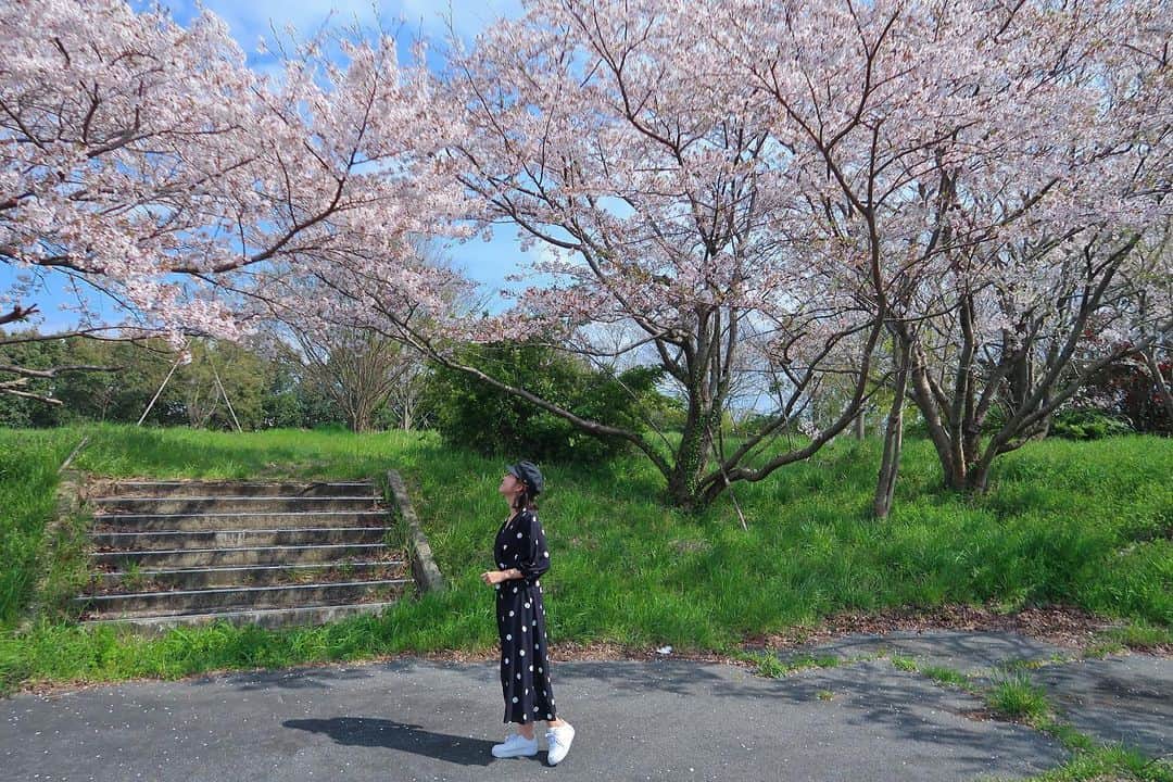 yuiさんのインスタグラム写真 - (yuiInstagram)「. . .今迄通った事ない知らない道を散歩🐶したら、 誰一人いない桜を発見して近寄ってみました🌸 . あぁ。とっとも綺麗🌸 . めちゃくちゃ嬉しかった💛 . 今年は、どこの桜も見にいかなかったから本当に嬉しかった🥰 . . 正直、桜をこんなに愛おしく思ったのも、 桜に近づける事がこんなに嬉しく思えたのも初めて。 . . 引き続き　#stayhome  して 人との接触を8割減らして、 1日も早い終息を願います🙏🏻🙏🏻🌸 . . . #桜」4月11日 15時33分 - yuiram