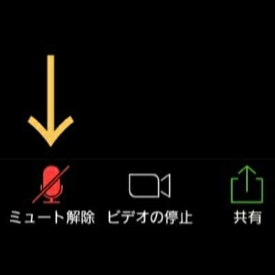 瞳ゆゆさんのインスタグラム写真 - (瞳ゆゆInstagram)「いよいよ明日は｢インターネット中継｣レッスンです😊  久しぶりにみんなと会えるの楽しみ！(画面越しだけど！) 初めましての皆さんも一緒に頑張りましょうね～✊ ZOOMの使い方をちょっと説明しておきますね😊 <2枚目> Zoomに接続できたら、左下のオーディオに接続ボタン押してね。 <3枚目> 先生の声が聞こえなかったら、左上のボタンを押してね。 <4枚目> 新曲レッスンとか、レッスン中にコミュニケーションとるときは、左下のボタンを押してミュートを解除してね。 <5枚目> ミュート中にコミュニケーションとるときは、参加者のボタンからチャット機能を使ってね。  覚えなくても、レッスン中に使っていけば慣れる！笑 私が出来るのだから😂  明日、お待ちしています✨✨ #宝塚受験 #グラントジェンヌ #インターネット中継 #オンライン #zoom #動画レッスン 生は #無料レッスン #無料」4月11日 15時41分 - yuyu_hitomi