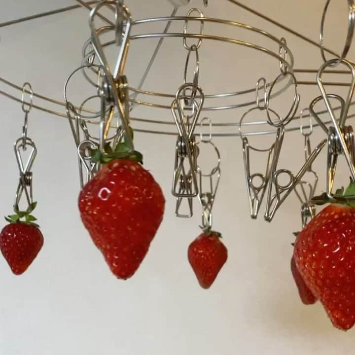 miyuのインスタグラム：「お家いちご狩り🍓」