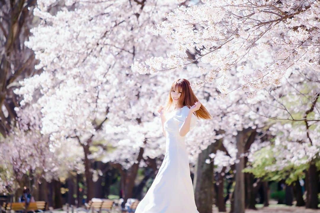 のインスタグラム：「皆の笑顔に早く会えます様に…🌸 ． ． Photo by Taku Watanabe ． ． #stayhome #stayathome #桜」