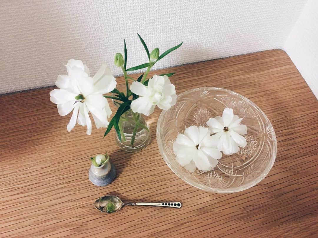 藤野可織のインスタグラム：「ラナンキュラス、まだ大丈夫そうなところだけ救出。蕾、咲くといいな…。」