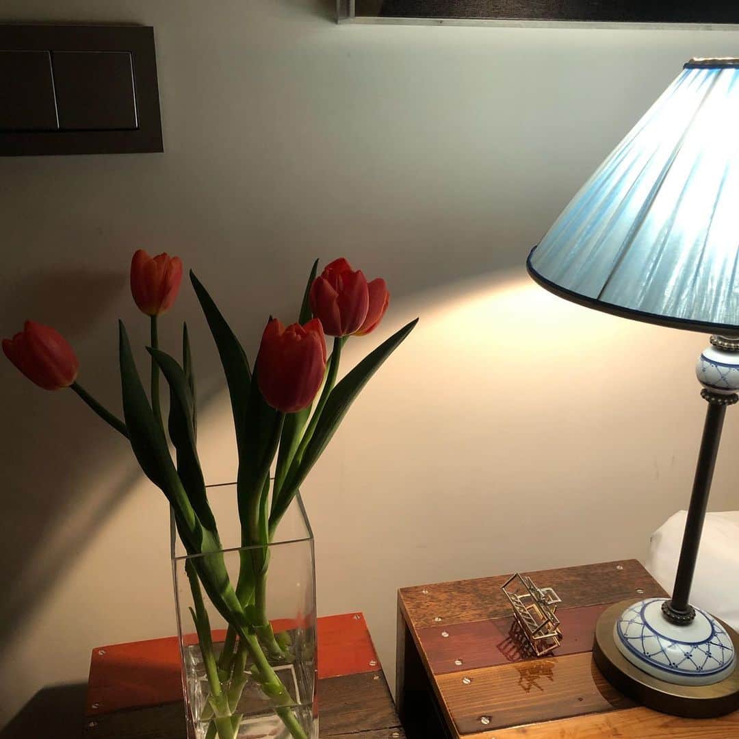 オム・ジウォンさんのインスタグラム写真 - (オム・ジウォンInstagram)「#집 그리고 #봄」4月11日 16時44分 - umjeewon