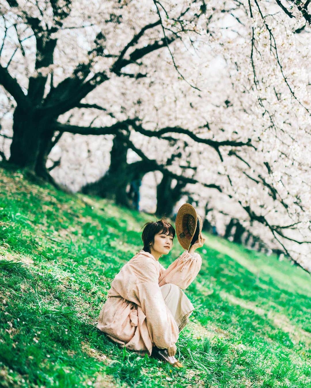shinichi38のインスタグラム：「﻿ ﻿ Next spring 🌸﻿ ﻿ ﻿ #いつかまた世界で﻿ #stayhome #stayathome」