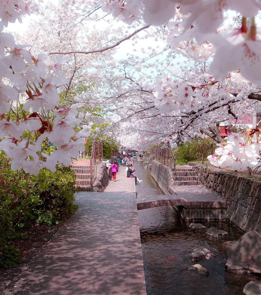 masayaさんのインスタグラム写真 - (masayaInstagram)「Peaceful afternoon 2013 Kawasaki  川崎市二ヶ領用水」4月11日 18時01分 - moonlightice
