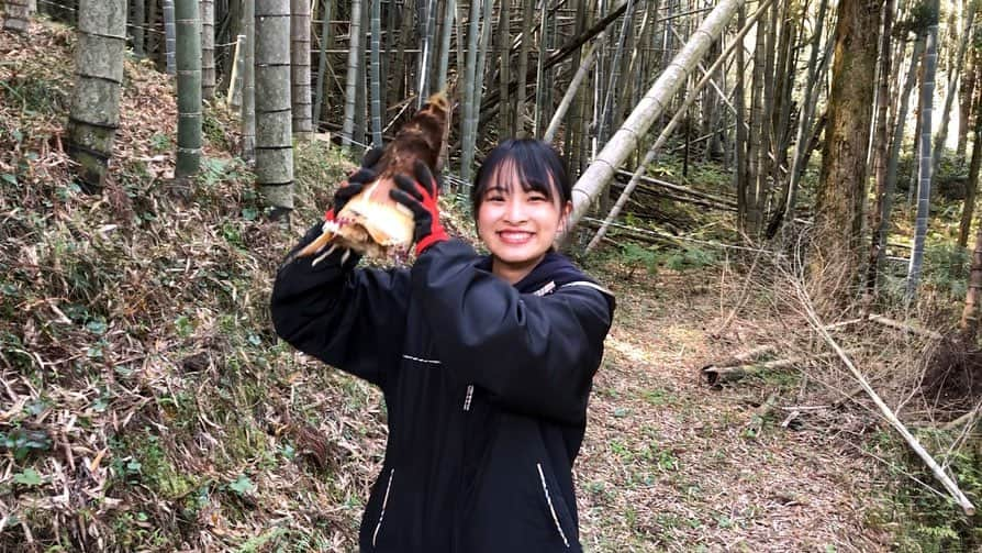 上大迫祐希のインスタグラム：「・ 先日祖父宅の裏山でタケノコ掘りをしてきました  みなさんタケノコを掘ったことはありますか？  タケノコを掘るには、 笹の葉で滑りやすくなっている山に登り 見つけにくいタケノコの芽を探し タケノコの根が見えるまでまわりの土を掘ります そして最後に勢いよく グサッ と。  私は1本掘るのに20分程かかりました。  合計で5本掘り、次の日にはクワを持っていた手の平や腕、腰などの至る所が筋肉痛になりました(笑)  この作業を毎年続けている祖父はすごいな、と改めて思いました。  自分で掘ったタケノコは格別に美味しかったです！  動画もあるのでスライドしてみてみてください☞☞ 撮影者は父です  #タケノコ #たけのこ #筍 #山 #笹 #笹の葉 #タケノコ掘り #タケノコご飯 #山登り #山女 #農家 #農業 #農業女子 #自然 #動画編集 #takenoko #mountain #farm #agriculture #nature #movie #picture #instagood #instalike #instaphoto #instagram  #女優 #上大迫祐希 #actress #kamioosakoyuuki」