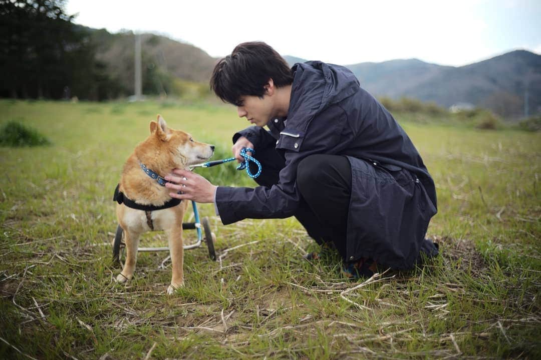 のインスタグラム：「このあと 『天才！ #志村どうぶつ園』  自分も実家で犬を飼ってます。  たくさんの犬たちが 新しい飼い主さんたちを待っています  たくさんの人に知っていただけますように  #命は平等だ  #保護犬」