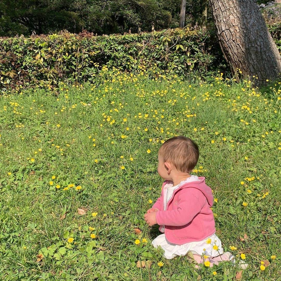 澤野井香里さんのインスタグラム写真 - (澤野井香里Instagram)「3密を避けてお散歩へ＾＾♪﻿ やっぱりお外の空気はおいしいし、太陽の光☀️で免疫もUp⬆︎﻿ ﻿ 基本はハイハイ🚼で、1歳になったばかりの頃は2秒位しか立てなかったのが、最近は30秒ほど立ってられる様に(*^^*)﻿ ﻿ 立っちしてるときは『ママ見て！私立てるの！』と言わんばかりの得意顔がたまらない♡﻿ ﻿ 散りかけだけど桜🌸も綺麗だったな✨﻿ ﻿ １歳２ヶ月の成長記録✏️﻿ ♦︎お風呂大好き🛁　Sと水遊びしながら毎日1時間弱入ってる。﻿ お茶持って入ってるのに湯船のお湯をゴクゴク飲むのが悩みの種。﻿ ♦︎まだティッシュを出してしまうイタズラが好き。﻿ ♦︎何でも興味津々で手を伸ばしてみて、触ってみて、口に入れてみる。﻿ （この間は口の中クレヨンまみれになってた😨🖍）﻿ ♦︎鞄の中、引き出しの中、袋の中、入れ物の中、何でも取り出すのが好き。﻿ ひねって開ける蓋も開けられるから、保湿剤で床ベトベトにされてしまったり💦﻿ ♦︎お兄ちゃんと仲良く遊べる。でも毎日Sが作ってるパズルや電車を壊して喧嘩してるw﻿ ♦︎いつもニコニコ😊　鏡が好きで自分の顔が映るのが面白そう。﻿ ♦︎1歳までは離乳食もあまり食べずに食が細かったのに、最近は手づかみでかなりワイルドにパクパク食べてくれる様に。﻿ ごはん🍙、パン🍞、麺類🍝、豆腐に納豆、ハンバーグや唐揚げが大好きで野菜🥕やフルーツ🍍は残しがち💦﻿ ♦︎高速ハイハイ🚼　立っちは30秒できる様に。﻿ 一緒にハイハイしてするかくれんぼが好き。﻿ ♦︎オムツや靴下を履かせるとには、足を出してくれる。﻿ ♦︎『ハイ』と何でも渡してくれる。﻿ ♦︎いないいないばぁ遊びが好きで、いつも『ばぁ』としてくれる＾＾﻿ ♦︎パパがいる時はパパっ子になりつつある😏﻿ ♦︎誰かに預けても3時間程は私がいなくても泣かずに待てる様に。﻿ ♦︎相変わらずの薄毛だけど、これでも大分増えた方w ♦︎歯は上下🦷2本づつ ﻿ #コロナ  でどこにも行けないし、何かと大変なこの頃だけど、子供たちの毎日の成長が楽しみ💠﻿ ﻿ Sは１歳3 ヶ月で歩いたから、Mも来月は歩ける様になるかなぁ。。。。＾＾﻿ ゆっくりでいいょ〜  #ks_20✨#👶 #1歳 #1歳2ヶ月　#娘 #ベビフル #ママリ #コドモノ #関西ママ #京都ママ #女の子ママ #ママライフ #京都　#ks_dau #ks_dau_2020  #M🍒_ #春　#桜　#🌸」4月11日 19時44分 - kaori_sawanoi