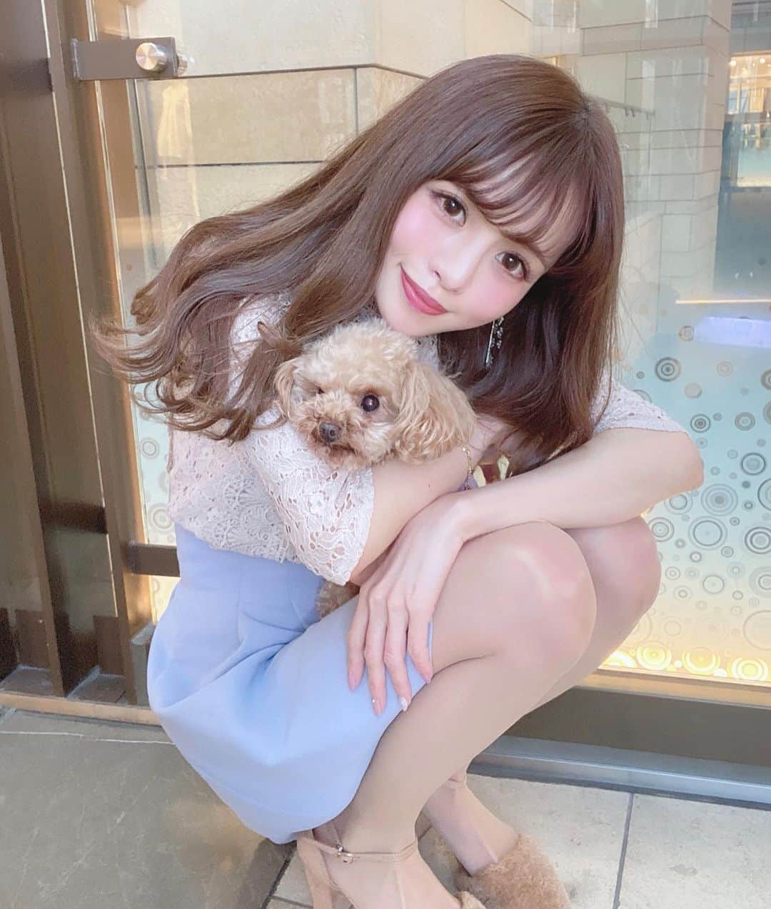 Isakoさんのインスタグラム写真 - (IsakoInstagram)「きゃわいい🐩💕🐾 . . 今夜はヘアスタイルについて インスタライブします🌸 遊びに来てね🥰 . . エルちんとのいつかのツーショット🐩 . . . . #トイプー#トイプードル#わんこ#お散歩#レーストップス#水色#ミニスカ#titiyandco#六本木ヒルズ#ミルクティーベージュ#ミルクティーカラー#プードル#春コーデ#デートコーデ」4月11日 19時58分 - ichaaako