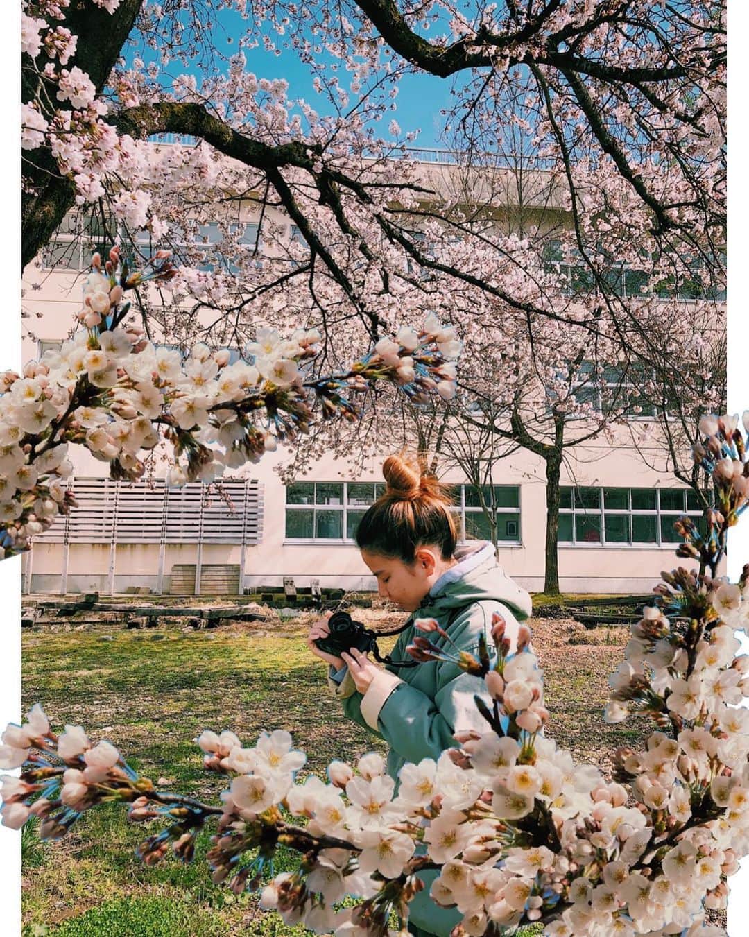 佐藤亜耶さんのインスタグラム写真 - (佐藤亜耶Instagram)「. 母校のさくら〜 天気が良ければ1日1回、外を歩く。今日はカメラ持ってみた🟠」4月11日 20時22分 - aya_sato_49