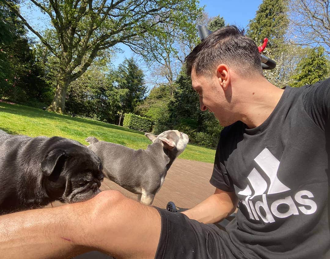 メスト・エジルのインスタグラム：「Hanging out with my lovely dogs ☀️❤️ #Balboa #Pablito #PostWorkout 🚲💦 #Hometeam #StayAtHome 🏡 #M1Ö」
