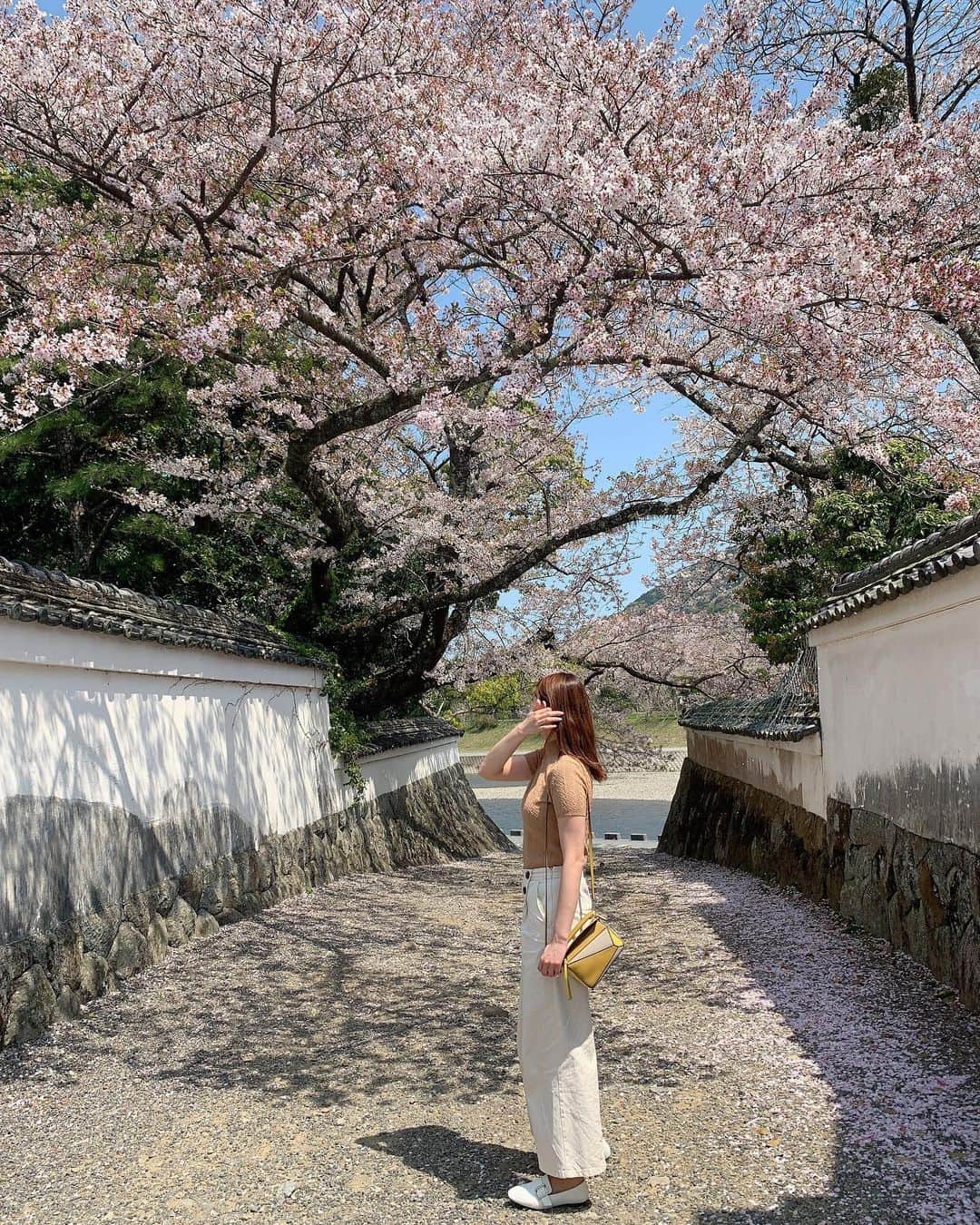 karen okajimaさんのインスタグラム写真 - (karen okajimaInstagram)「ㅤㅤㅤ  ㅤㅤㅤ  We all wish for permanent world peace.🌎 ㅤㅤㅤ  ㅤㅤㅤ #桜 #さくら #サクラ #cherryblossom #伊勢」4月11日 21時00分 - karenokajima0318