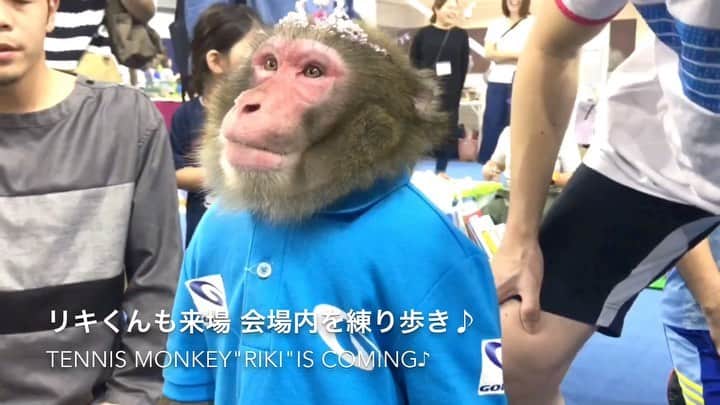 吉崎仁康のインスタグラム