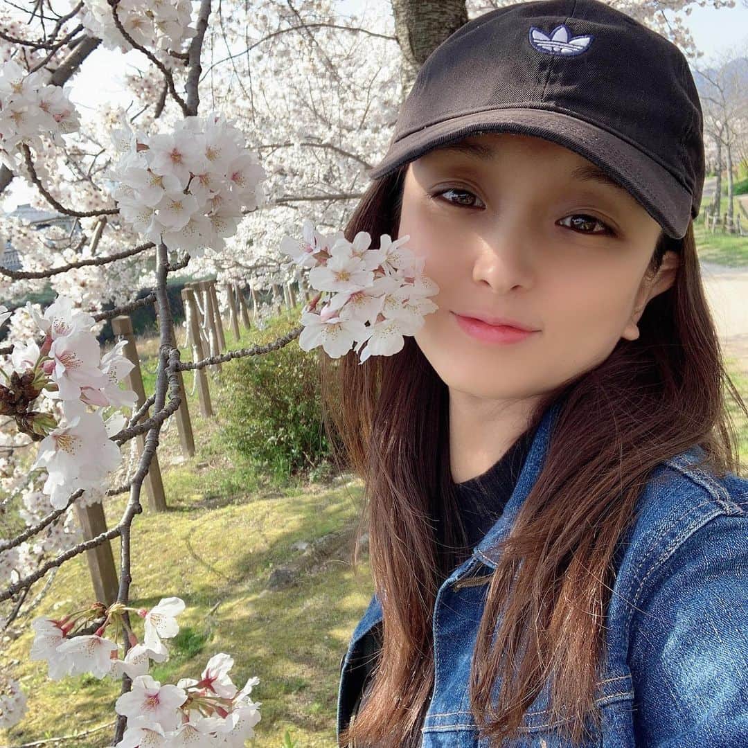ぱにゃえのインスタグラム：「桜満開だった頃🌸 来年はみんなでお花見したいね🍡 おうちで写真を見直してみたり  #さくら  #おうち時間」