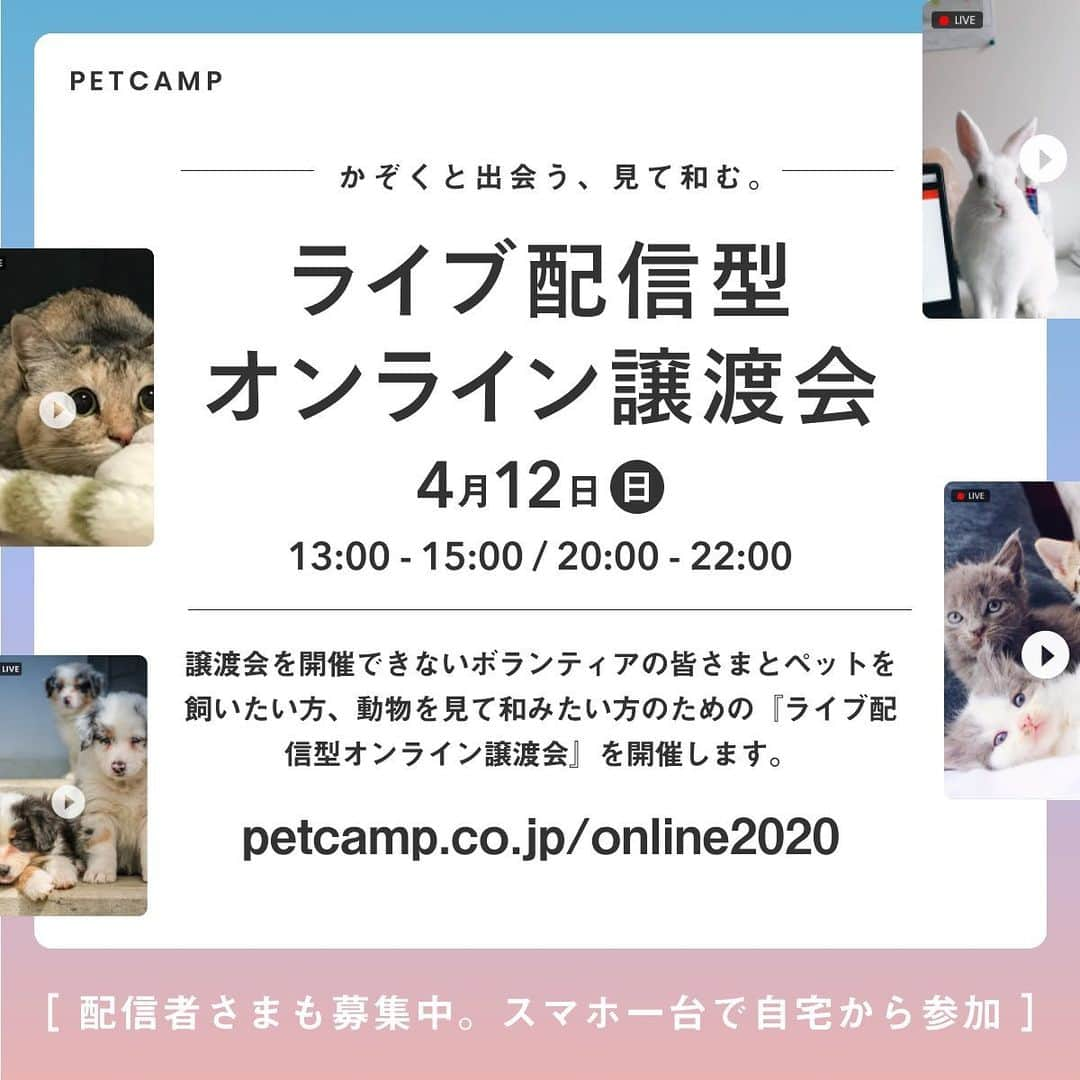 猫好き集合!! みんなのねこ部 [みんねこ] のインスタグラム