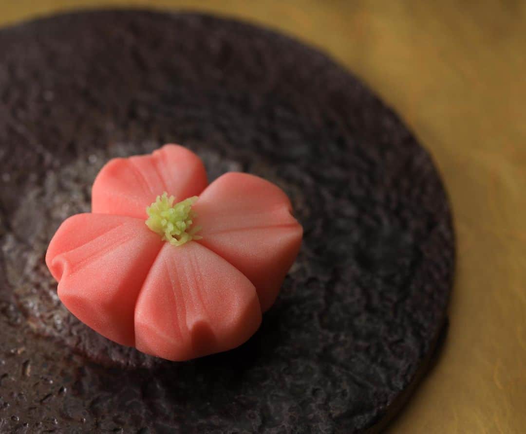 Toru Tsuchieのグルメインスタ