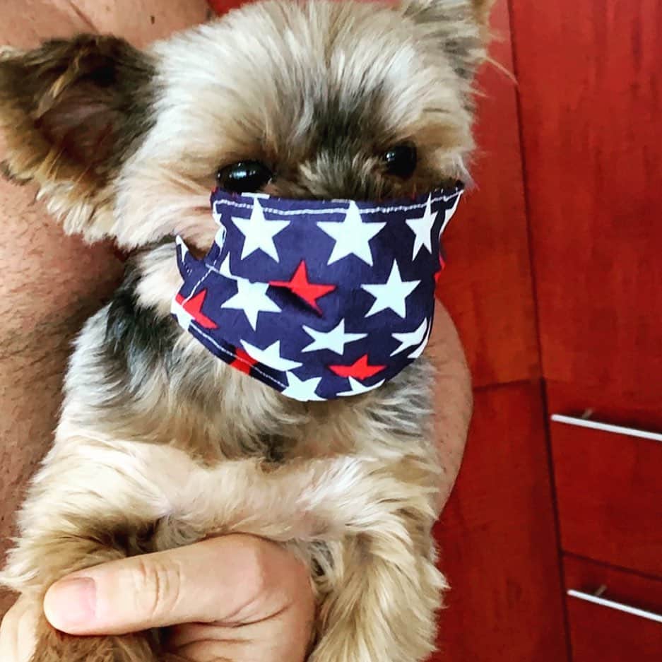 ピーター・ファシネリのインスタグラム：「Wear a mask. Save a life. Maybe even yours.  My mom made masks for my sister’s family. Even a matching mask for their little dog Pino. Moms are the best. 😷❤️ Happy #nationalpetday」