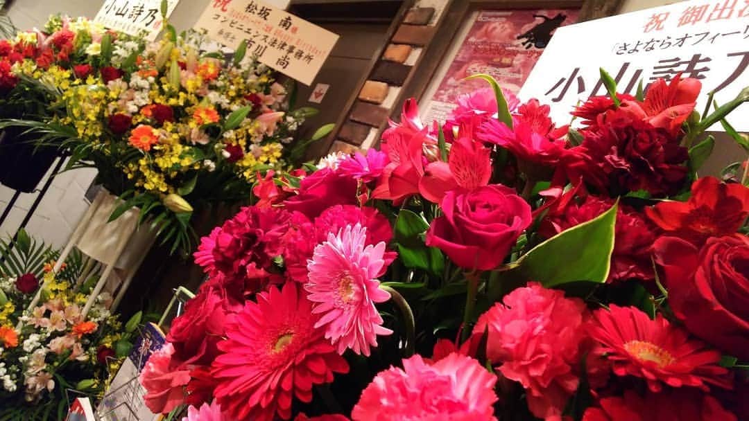 松坂南さんのインスタグラム写真 - (松坂南Instagram)「こちらも#さよならオフィーリア  #フォルダ整理中」4月12日 0時10分 - minami_matsuzaka