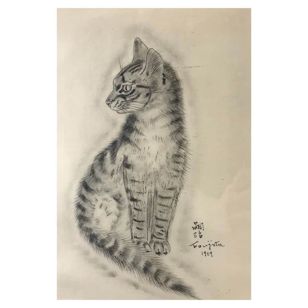 二見悠のインスタグラム：「藤田嗣治「猫の本」より」