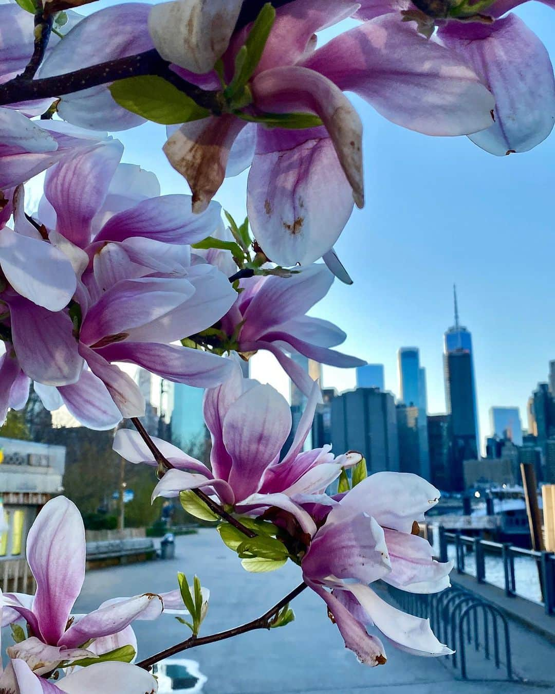 ヨハネス・ヒューブルさんのインスタグラム写真 - (ヨハネス・ヒューブルInstagram)「Happy Easter weekend, Mom 🌸🌺 ❤️#Facetime #quarantineLife」4月12日 2時39分 - johanneshuebl