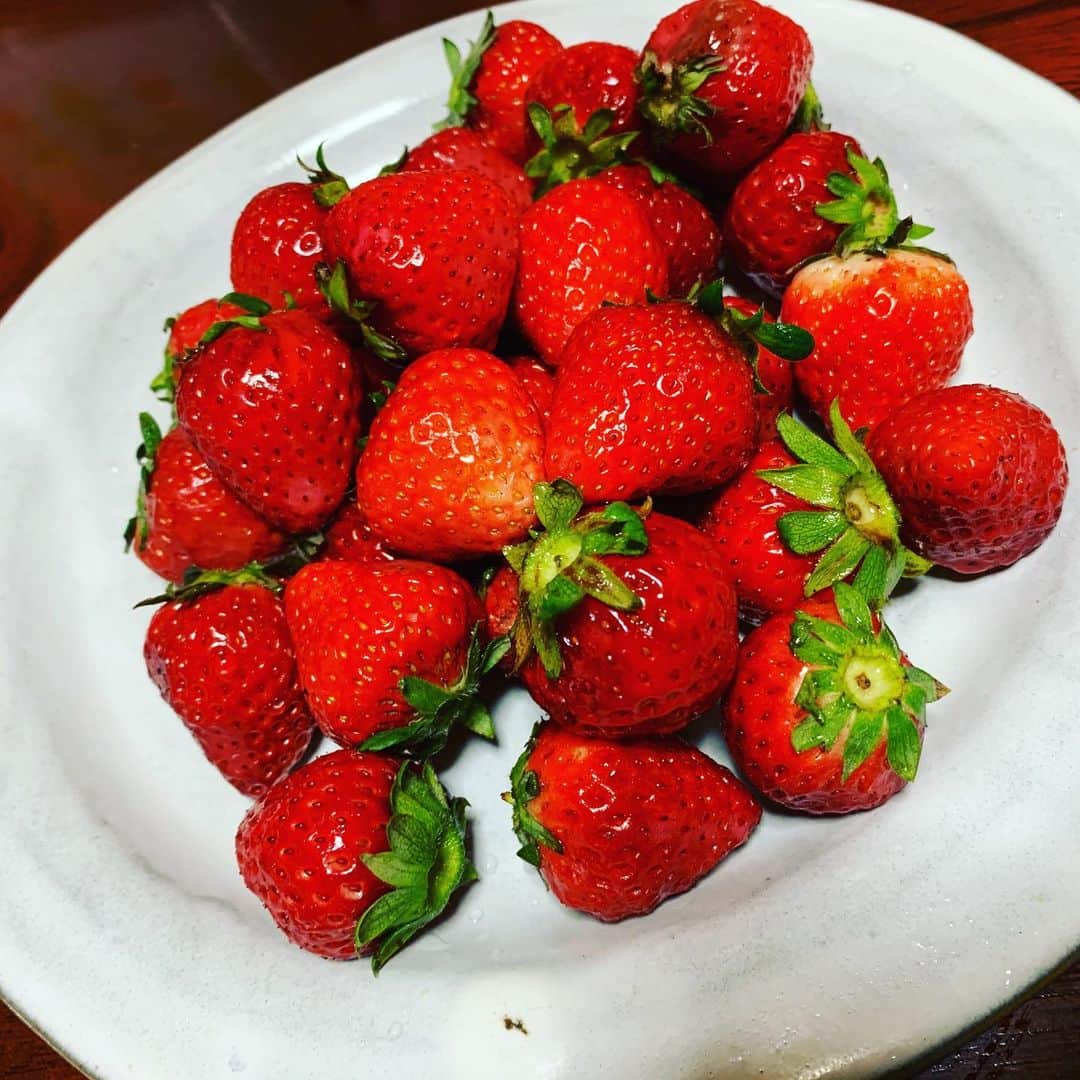 元ちとせさんのインスタグラム写真 - (元ちとせInstagram)「おはようございます🍓 贅沢な量❣️と、大好きな石井さんのお皿で気分あげる朝。  #石井啓一　さん #苺🍓 #気分あげて #おはよう☀」4月12日 8時37分 - hajimechitose.official