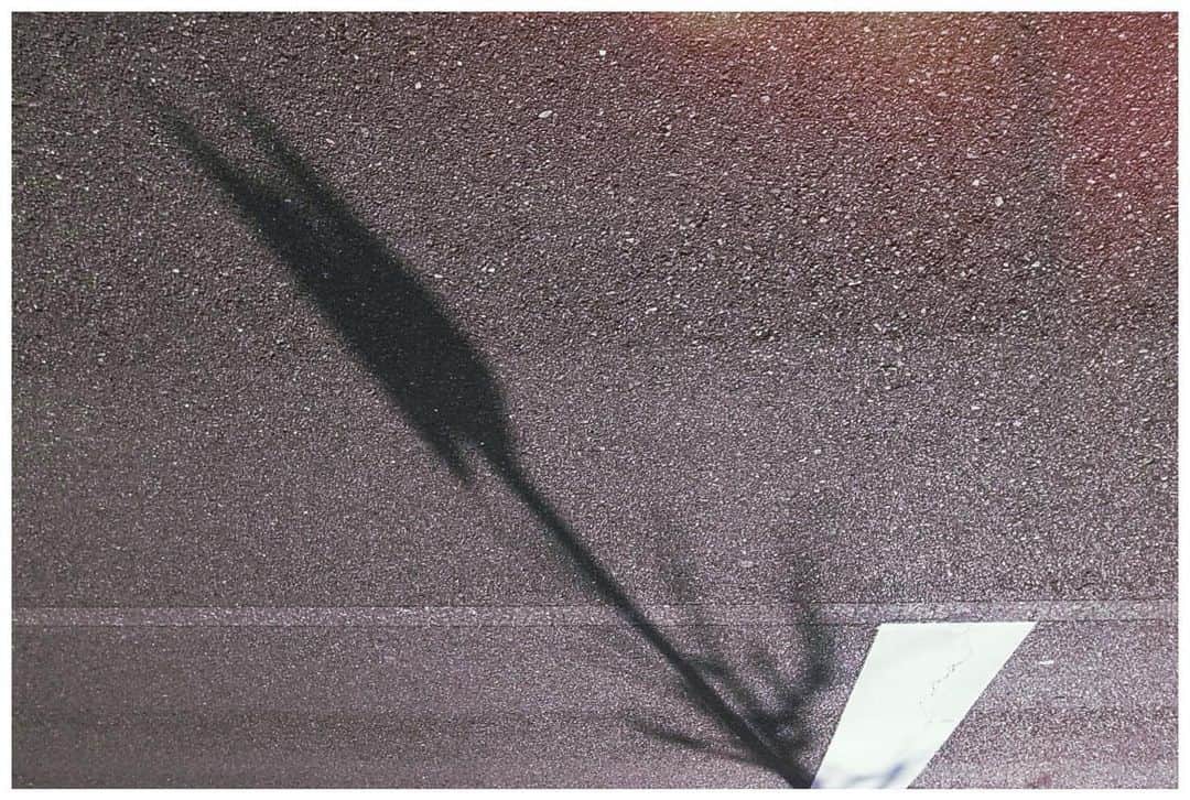 spatulaのインスタグラム：「・ ブラックチューリップ🌷🌚🌷 ・ ・ 「Black tulip」 ・ ・ (￣^￣)ゞビゴッ★」