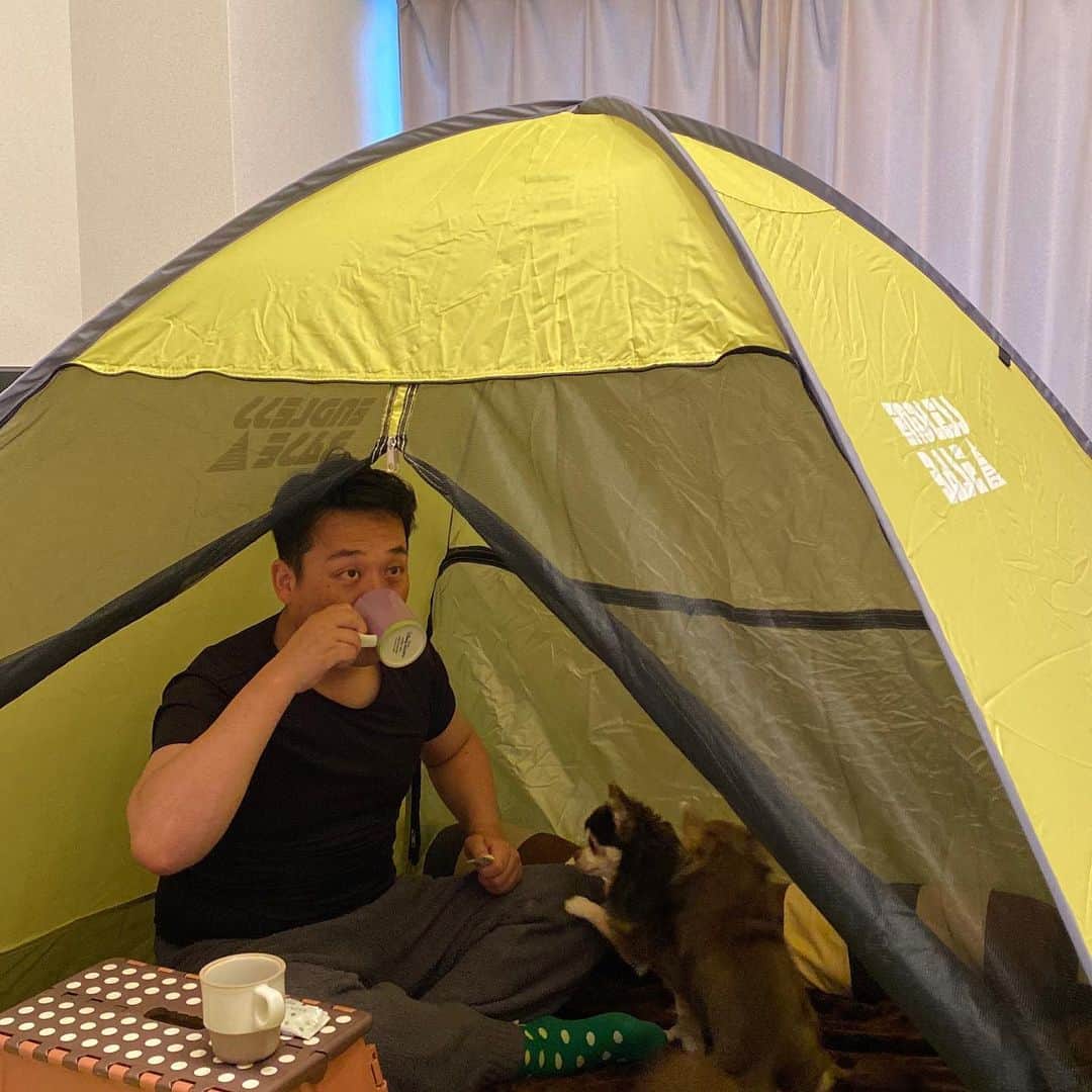 のインスタグラム：「もう、こうなってます。やってみると良い感じよー！！！みんなは家でなにしてますかー？？？ #家テント」