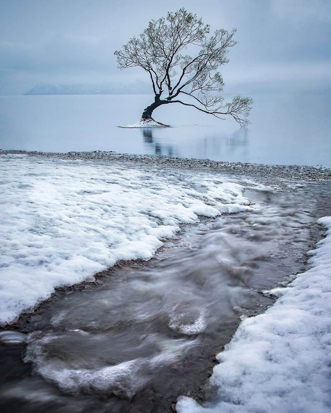 National Geographic Travelさんのインスタグラム写真 - (National Geographic TravelInstagram)「Photo by Kahli Hindmarsh @kahliaprilphoto | A snowy day at the famous Wanaka tree on the South Island of New Zealand.」4月12日 17時08分 - natgeotravel