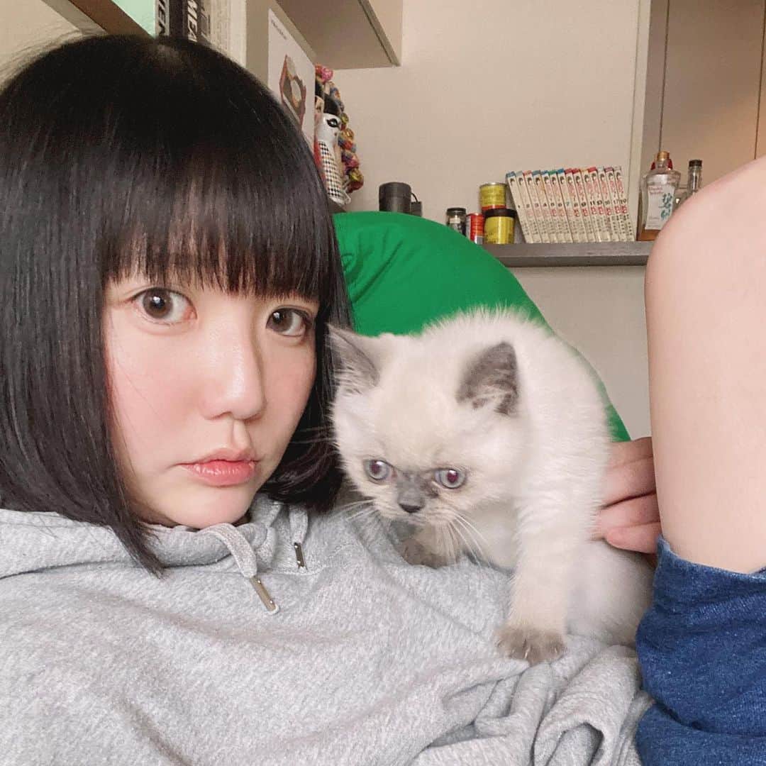小鳥遊しほのインスタグラム：「もともと家にいるのが得意なので今も本当に限りなく家から出ていなくて前髪がついに脱オン眉。珍しい図。  美容室行かなきゃと思いつつも積極的に自粛しまくってしまう。  友達にも会えないしジムも行けないし居酒屋も行けないけど、こんな時しかできないことを見つけたいよね。  ヒマすぎて猫のダンボールハウスに折り紙で装飾中です。たのしい。子供に戻った気分。笑  みんな、手洗いうがい近づかない小さなことでイライラしない。だよ。 大変だけど乗り切ろう。  #おうち時間」